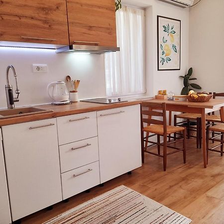 Central Modern Apt With Garden Struga Luaran gambar